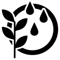 Paraben Free